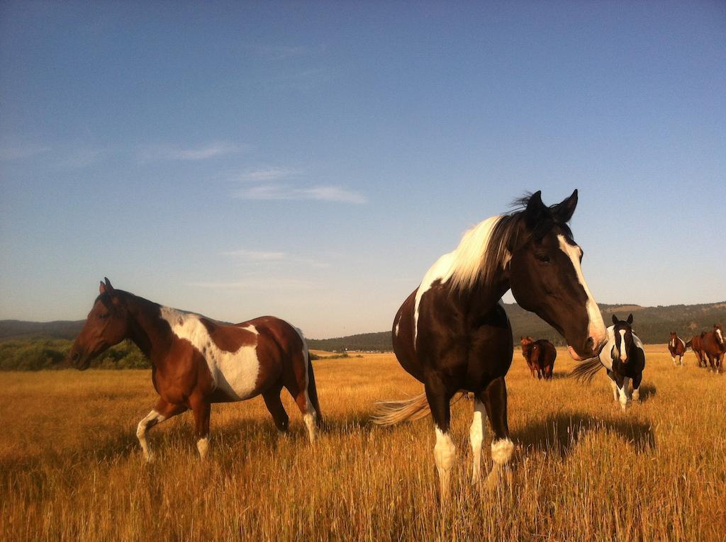 Willa Bar N Ranch West Yellowstone Zewnętrze zdjęcie